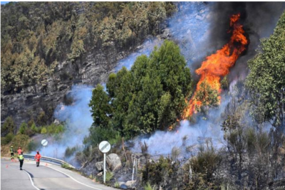 Incendio forestal en España mantiene evolución favorable tras devastar 6 mil 600 hectáreas