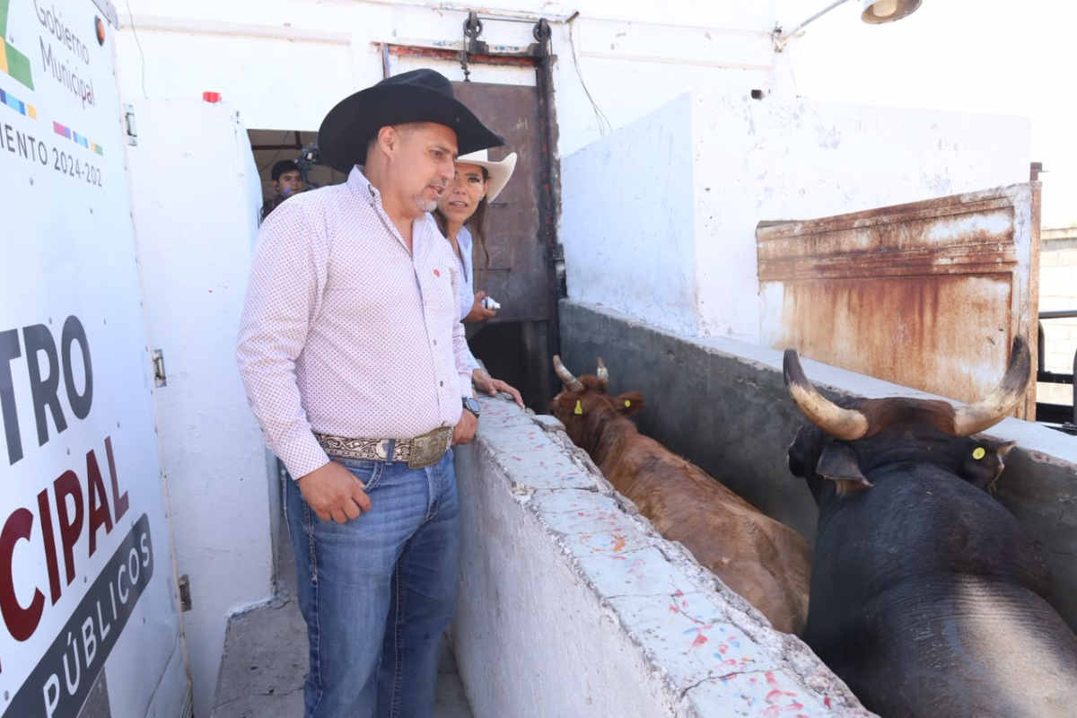 Jerez es sede de capacitación a rastros municipales en detección de tuberculosos bovina