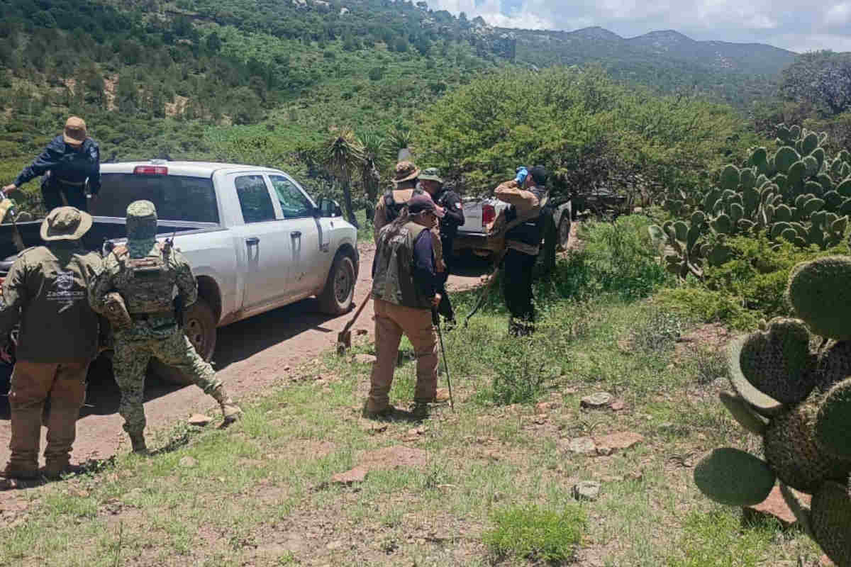 Realiza Gobierno de Zacatecas búsqueda forense individualizada en zona serrana de Fresnillo